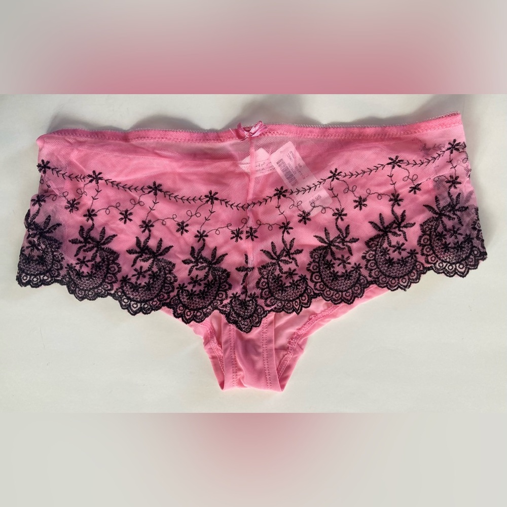 La Vie en Rose Cheeky Sheer Panties NWT